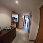 Apartment Ria